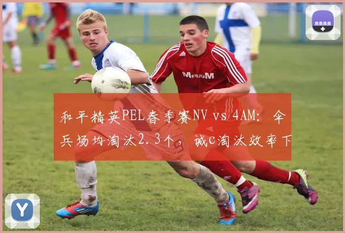 和平精英PEL春季赛NV vs 4AM:伞兵场均淘汰2.3个,诚c淘汰效率下滑至1.8